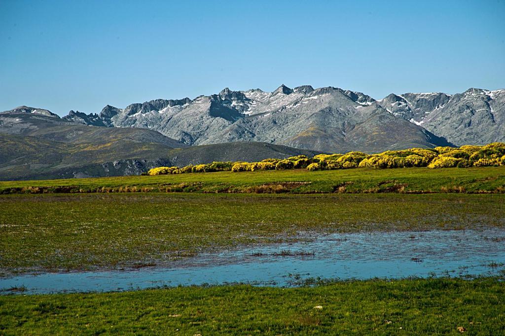 Hotel Rural La Dehesilla Barajas de Gredos Εξωτερικό φωτογραφία